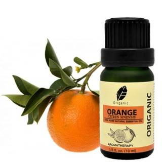 ORIGANIC น้ำมันหอมระเหยส้ม แท้100% ORANGE ESSENTIAL OIL น้ำมันหอมระเหย คุณภาพพรีเมี่ยม ไม่เจือจาง ขนาด 10 ml