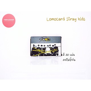 Straykids lomocard lomo card โลโม่ โลโม่การ์ด การ์ด