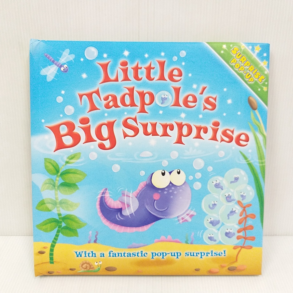 Little Tadpole's Big Surprise (Pop Up Book) นิทานภาษาอังกฤษ มือสอง หนังสือป๊อปอัป บอร์ดบุ๊กใหญ่