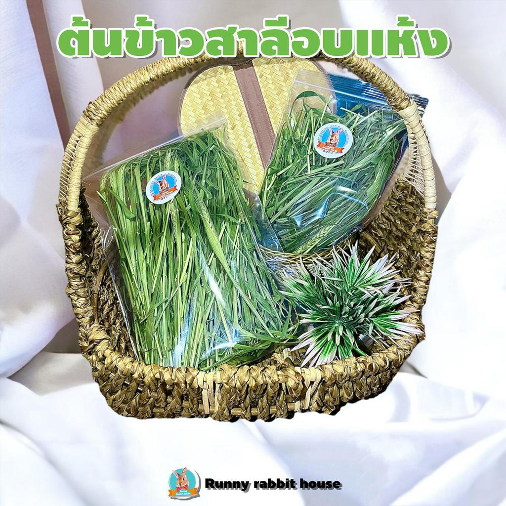 ต้นข้าวสาลีอบแห้ง ออร์แกนิค หญ้าวีท วีทกราส Wheatgrass สำหรับสัตว์ฟันแทะ กระต่าย แกสบี้ แพรี่ด็อก
