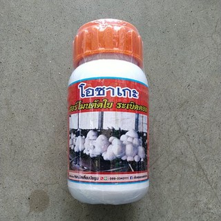 ฮอร์โมนตัดใย จุลินทรีย์โอซาเกะ