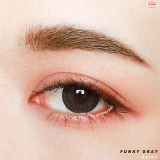 คอนแทคเลนส์  Funky เทา พร้อมส่งแบบปกติ และค่าสายตาสั้น 0.00- 7.00 (สายตาที่มีในลิสกดสั่งได้เลยค่า)