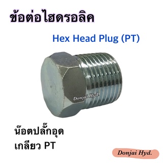 ข้อต่อไฮดรอลิค ปลั๊กอุด Hydraulic Male Plug BSPT ปลั๊กอุด เกลียวแป๊บ PT (250 Bar)