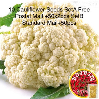 10.Cauliflower Seeds SetA Free Postal Mail 50x2pcs SetB Standard Mail 50pcsบ้านและสวน/พาสต้า/เสื้อ/ผักกาดหอม/สวน/ผู้ชาย/