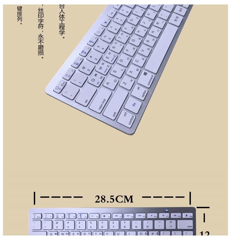 My Image 29