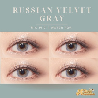 Russian velvet gray | คอนแทคเลนส์รายเดือน