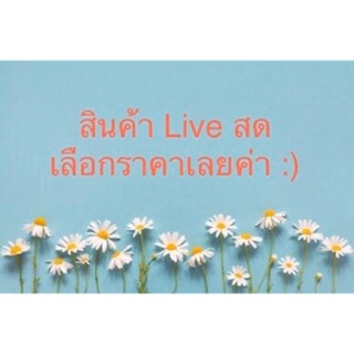 สินค้าเฉพาะไลฟ์สด ราคาพิเศษ