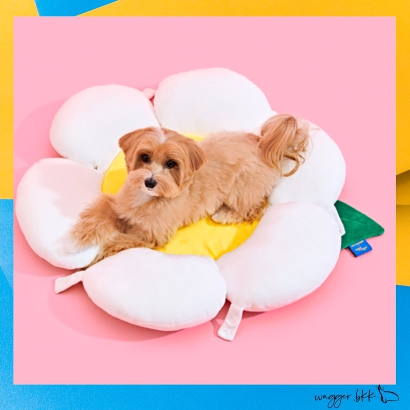 [พร้อมส่ง] เบาะนอนสุนัข เบาะรอง ที่นอน หมา แมว Pethroom x wiggle wiggle