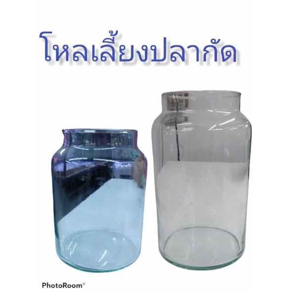โหลปลากัดเป็นโหลกระจกสูง 5 -7 นิ้ว