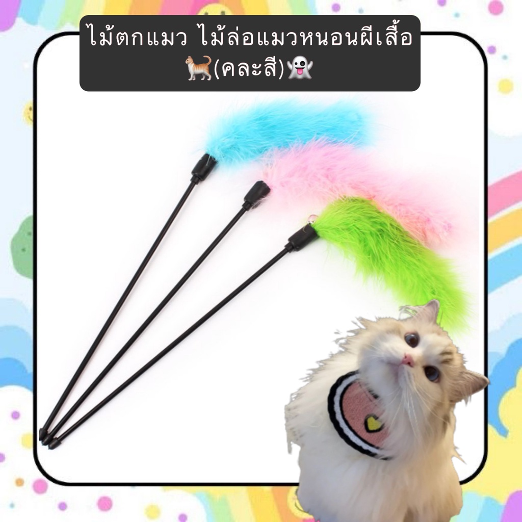 MG-397 ไม้ล่อแมวหนอนผีเสื้อ ขนนุ่มหลากสี (คละสี) ของเล่นแมวฝึกทักษะ ความยาว 50 ซม. ราคาเบาๆ พร้อมส่งทันที 🙌🏻😻