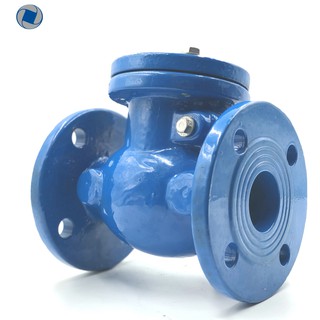 Swing Check Valve เหล็กหล่อ แบบหน้าแปลน ขนาด 5"