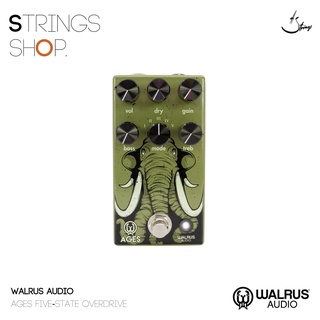 เอฟเฟคกีตาร์ Walrus Audio Ages Overdrive