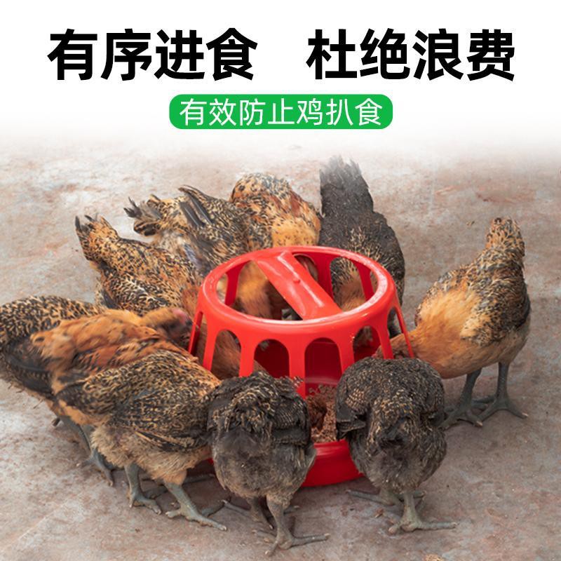 รางให้อาหารไก่, สิ่งประดิษฐ์ของไก่, เครื่องให้อาหารกรงไก่, อุปกรณ์เพาะพันธุ์, ถังป้อนอาหาร, ที่ให้น้ำอัตโนมัติ, หม้อไก่,