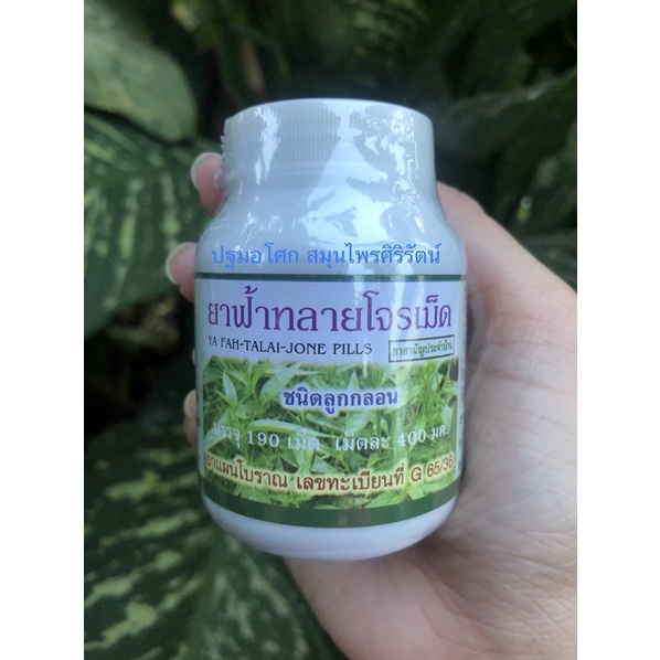 #ฟ้าทลายโจร ลูกกลอน ปฐมอโศก 190 เม็ด พร้อมส่ง