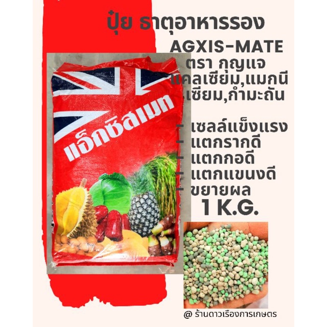 Agxis-mate ปุ๋ย ธาตุอารพืช ปุ๋ย ธาตุอาหารรอง Ca 12% + Mg 6% + S 3% แบ่งบรรจุ สำหรับ แคตตัส ไม้กระถาง พืชผักและ ไม้ผล