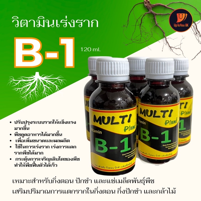 น้ำยาเร่งราก วิตามิน B1 บีวัน เหมาะสำหรับ กิ่งตอน ปักชำ และ แช่เมล็ดพันธุ์พืช Multi Plant Vitamin B-