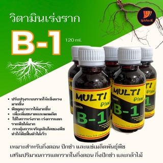 น้ำยาเร่งราก วิตามิน B1 บีวัน เหมาะสำหรับ กิ่งตอน ปักชำ และ แช่เมล็ดพันธุ์พืช Multi Plant Vitamin B-1 และบีวัน สตาร์ท