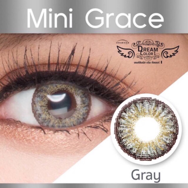 🦢Mini Grace Gray🦢สายตาปกติ(Dream color1)