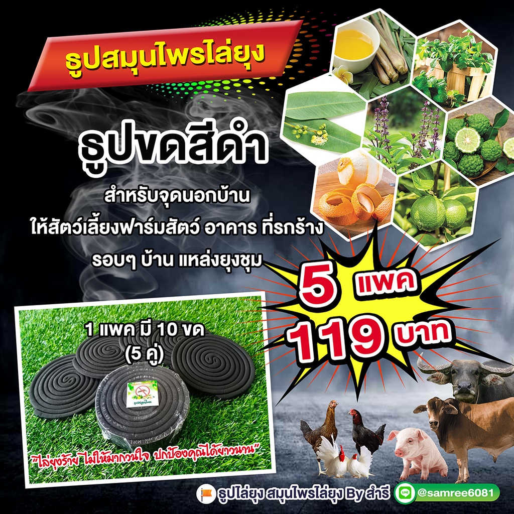 ♨️ธูปจุดกันยุง⭐️จำนวน 5 แพค⚡️(1 แพคมี 10 ขด)⚡️ราคา 119 บาท ♨️ธูปกันยุง แบบขด ธูปสมุนไพร แบบขด ไล่ยุง ควันน้อย จุดนาน