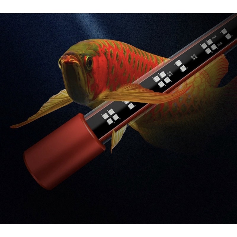 Mayin Arowana  SUPER COLOUR หลอดไฟสำหรับปลามังกรแดงและปลาสวยงามทุกชนิด ขนาด 112cm. 142cm. 172cm.