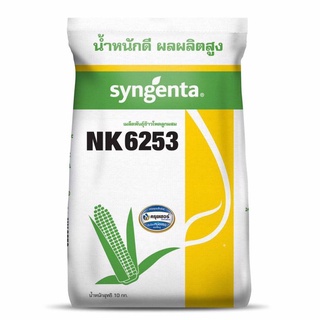 เมล็ดข้าวโพด เอ็นเค NK 6253 เบอร์ 3.5 และ 3 หุน (กลมกลาง และ กลมเล็ก) (10 กก.) ต้นแข็งดี สีได้เนื้อ