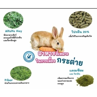 ส่งของทุกวัน!! หญ้าอัลฟาฟ่าอัดเม็ด 100% อาหาร กระต่าย หนู แกสบี้ เต่า