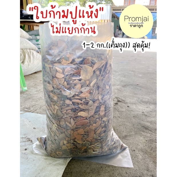 ใบก้ามปูแห้ง 100% ไม่ผสมดิน ไม่แยกก้านธรรมชาติ 1-2 กก !!)