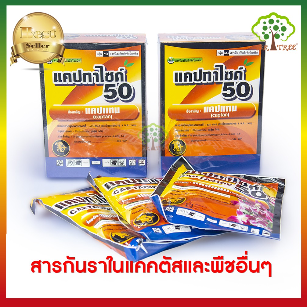 ยาฆ่าเชื้อราแคคตัส ถูกที่สุด พร้อมโปรโมชั่น ก.ค. 2023|Biggoเช็คราคาง่ายๆ