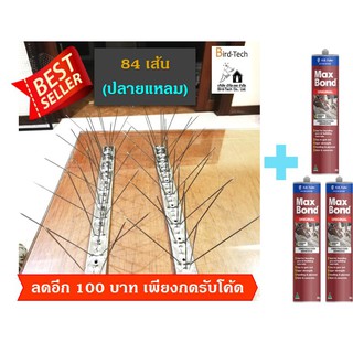 Bird spike หนามกันนก ฐานและกิ่งสแตนเลส 84 เส้น ➡️ปลาย​แหลม​⬅️​ แถม กาว 3 หลอด จำนวนหนาม 90 กิ่งต่อเมตร