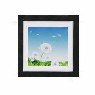 TSF กรอบรูป FRAME06 COTTON 20x20 cm (สีดำ)