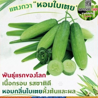 เมล็ดพันธุ์แตงกวาหอมใบเตย 20 เมล็ด