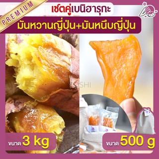 แพ็คคู่ถูกกว่า มันหวานญี่ปุ่น เบนิฮารุกะ 3kg + มันหนึบ 500g  มันหวานญี่ปุ่นนำเข้า มันหวานญี่ปุ่นเบนนิฮารุกะ มันหนึบ