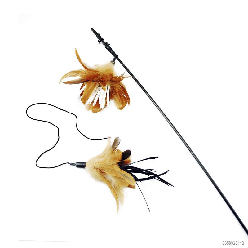 Kitten Fishing Head Wearing Funny Cat Stick Cute Feathers Bait Fishing ...