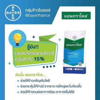 แอนทราโคล( Antracol ) สารโพรพิเนบ สารป้องกันและกำจัดโรคพืช ( 1 กิโลกรัม )