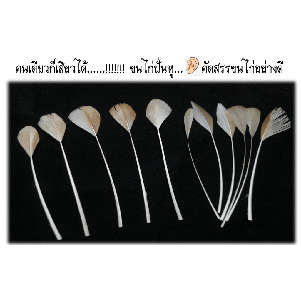 ขนไก่ปั่นหู ชุด 22 ก้าน สะอาด ปลอดภัย ผ่านการฆ่าเชื้อแล้ว แก้อาการคันถูกจุด เพลินจนตาปรืออออ ไม่เชื่อก็สั่งไปลองดู