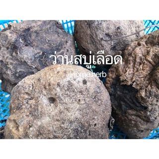 ว่านสบู่เลือด ขายเป็นหัว