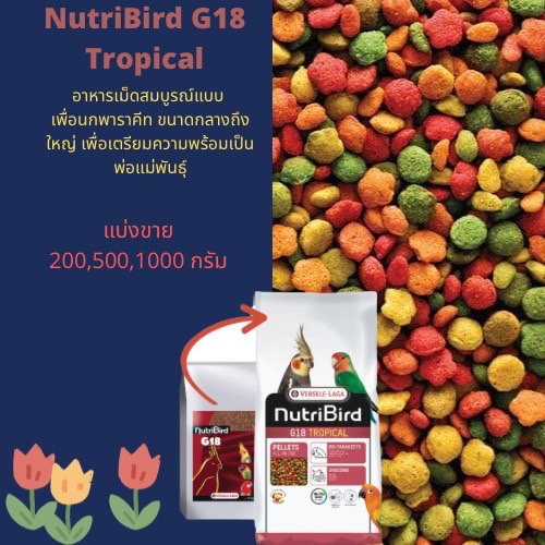 NutriBird G18 Tropical อาหารนกสำหรับพ่อแม่พันธุ์ (แบ่งขาย 200 G,500 G,1 KG.)