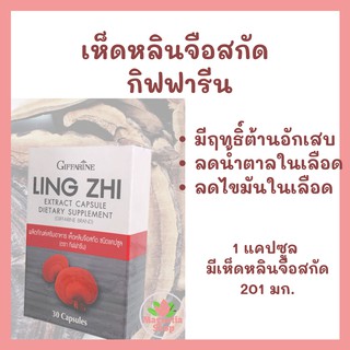 เห็ดหลืนจือ เห็ดหลินจือสกัด ชนิดแคปซูล กิฟฟารีน Lingzhi Extract Capsule Giffarine