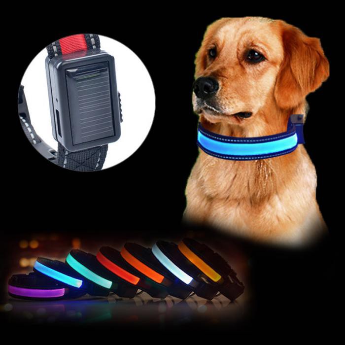 ร้านไทย ส่งฟรี ✨Coolthings ปลอกคอสุนัข ปลอกคอน้องหมา ปลอกคอเรืองแสง LED ชาร์จได้ ใช้พลังงานโซล่าเซล(สีส้ม) 🚔มีเก็บปลายทาง💒 [ขนาด/รุ่น- ]
