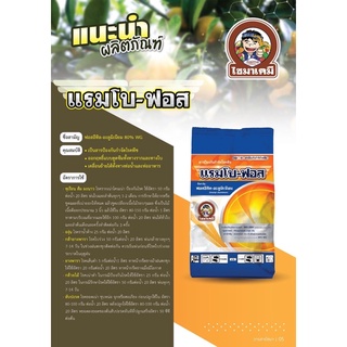 แรมโบ-ฟอส ⚡️ ฟอสอีทิล อะลูมิเนียม-Fosetyl-aluminium (1 KG ) ตัวช่วยเคลียร์เชื้อรา ล้างเชื้อโรคในดิน โรครากเน่า โคนเน่า
