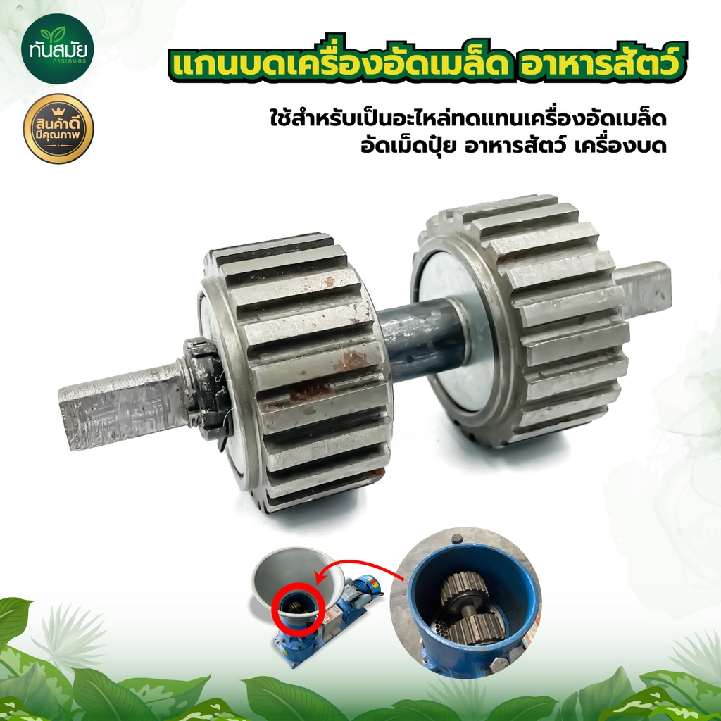 แกนบดเครื่องอัดเม็ด รุ่น125 อาหาสัตว์ แกนบดเครื่องอัดเมล็ด อะไหล่เครื่องอัดเมล็ด อัดเม็ดปุ๋ย