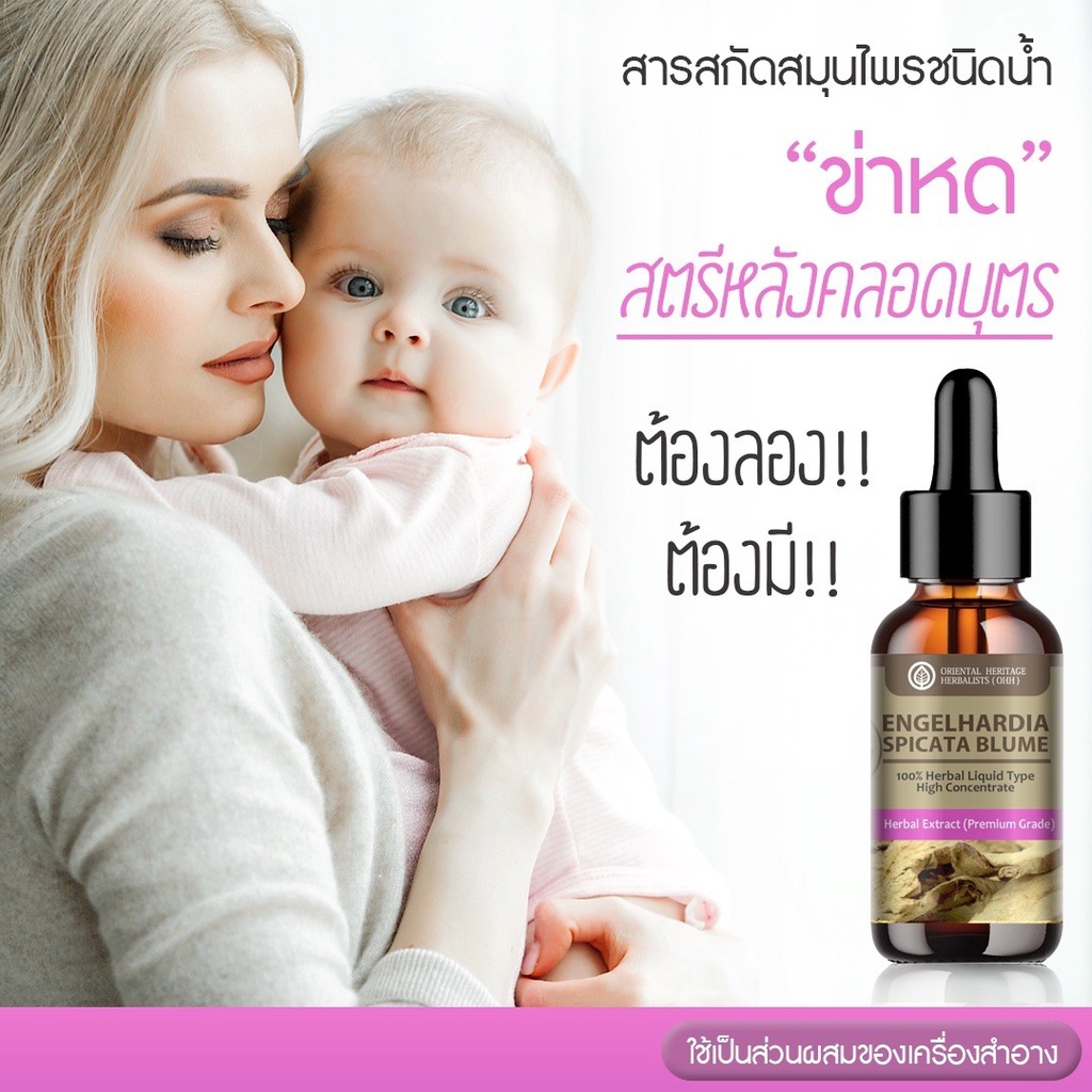 สารสกัดสมุนไพร ข่าหด (Engelhardia Spicata Blume) เข้มข้นสูง ชนิดน้ำ ขนาด 25 มล. ราคา ถูกที่สุด ดีลบีเคเค แกลเลอรีภาพที่ 3