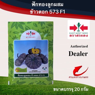 เมล็ดพันธุ์ ฟักทองลายข้าวตอก573 20g