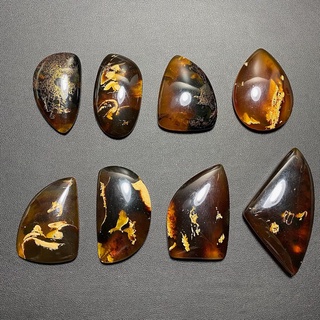 อำพันแท้ จากประเทศอินโดนีเซีย (Amber Cabochon from Indonesia)