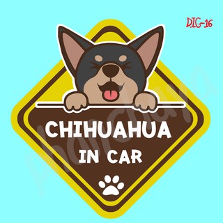 สติ๊กเกอร์ติดรถยนต์ DIC16 สติ๊กเกอร์ ติดรถ Chihuahua Dog In Car สติ๊กเกอร์ติดรถ แต่งรถ car sticker