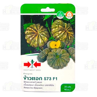 🌱 ศรแดง 🇹🇭 ฟักทองลูกผสม ข้าวตอก 573 F1 ขนาดบรรจุประมาณ 25 เมล็ด อายุเก็บเกี่ยว 75 วัน