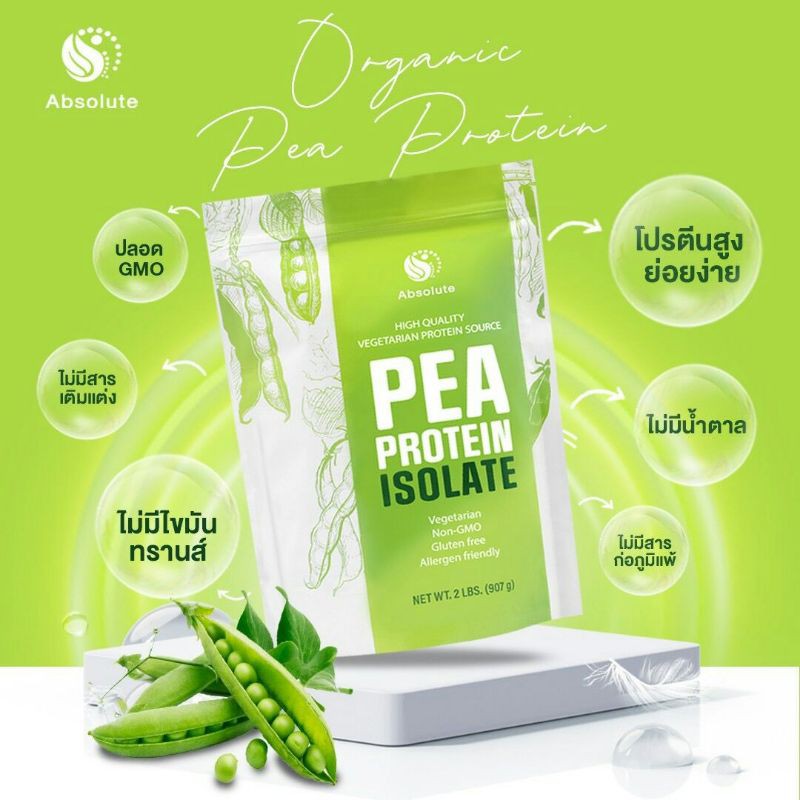 Pea Protein โปรตีนถั่วลันเตา โปรตีนพืช (PlantBase Protein)โปรตีน