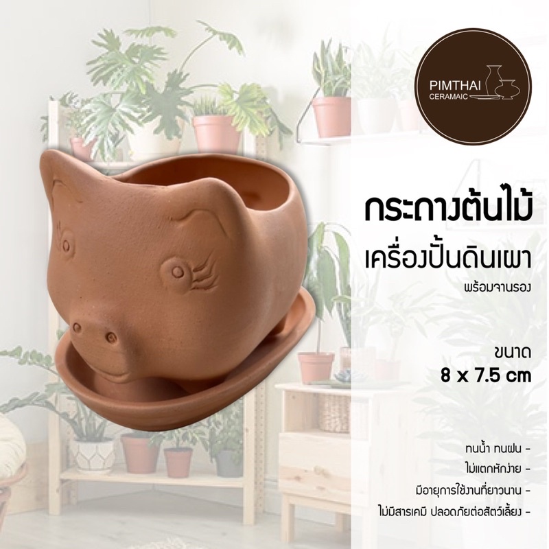 กระถางต้นไม้ดินเผา รุ่น ทรงหมู (พร้อมจานรอง) เช็คขนาดสินค้าก่อนสั่งซื้อ