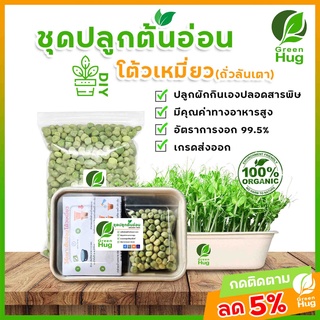 ชุดปลูกต้นอ่อนโต้วเหมี่ยว  Organic - ( Green Peas Sprout Kit - Organic ) GREENHUG เมล็ดต้นอ่อน