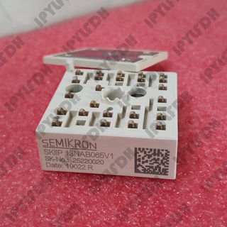 โมดูลพาวเวอร์ IGBT SKIIP13NAB065V1 SKIIP 13NAB065V1